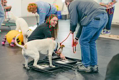 Purpose Driven K-9, Indianapolis