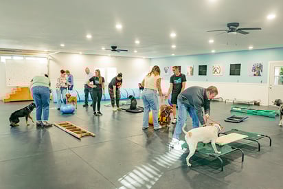 Purpose Driven K-9, Indianapolis