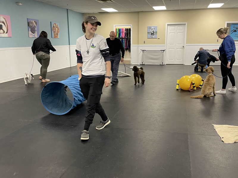 Dog Group Classes Indianapolis