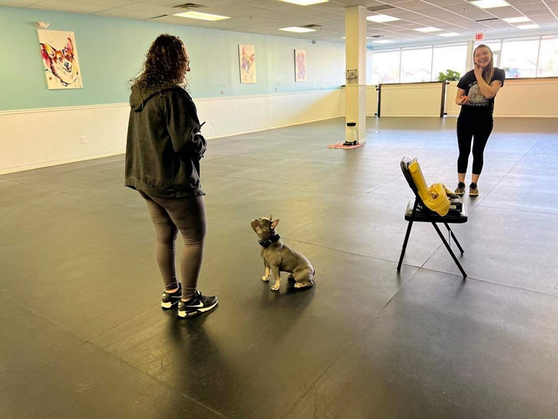 Private Dog Classes