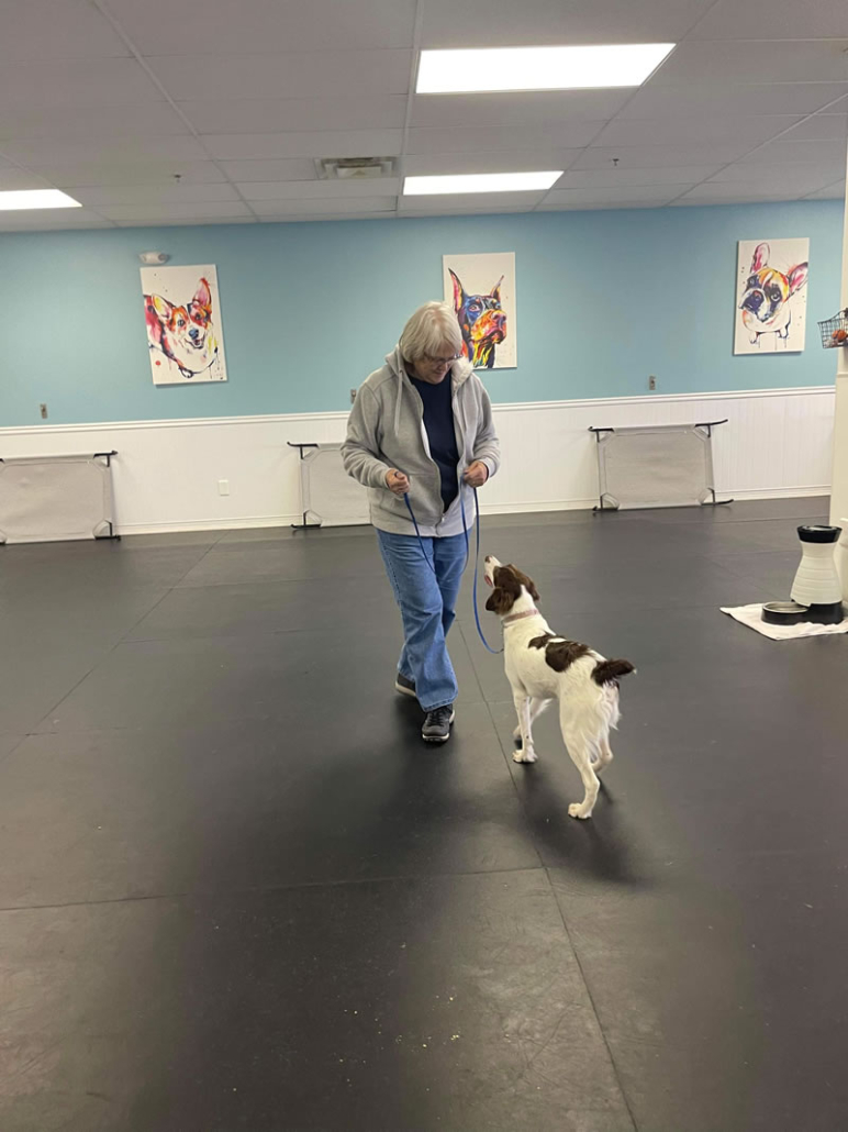 Private Lessons Dog Training